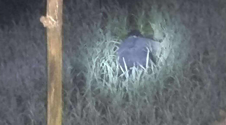 ঝিনাইদহের শৈলকুপায় তিনজনকে গুলি করে হত্যা
