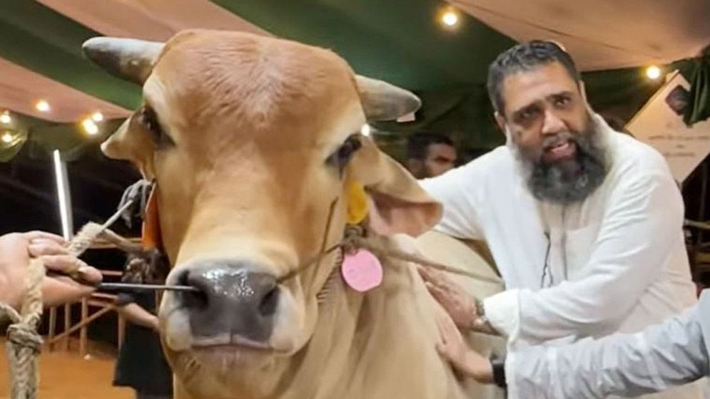সাদিক অ্যাগ্রোর মালিক ইমরান গ্রেফতার