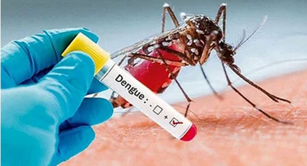 মৃত্যু নেই ডেঙ্গুতে, হাসপাতালে ভর্তি ১৬ জন