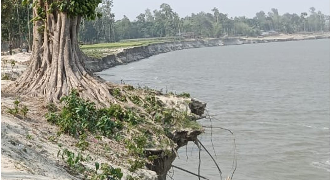 ব্রহ্মপুত্রের ভাঙনে কুড়িগ্রামের মানুষ দিশেহারা 