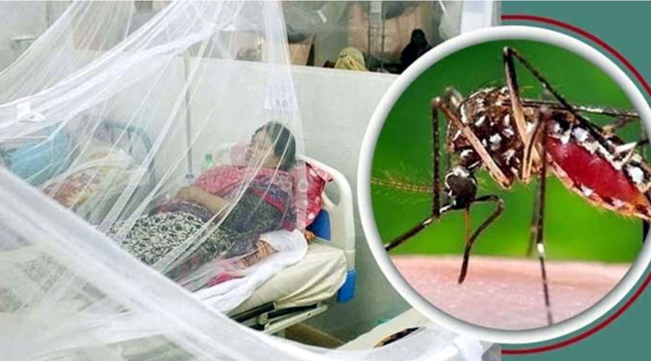 ২৪ ঘণ্টায় সারাদেশে আরও ২০৪ জন ডেঙ্গু আক্রান্ত
