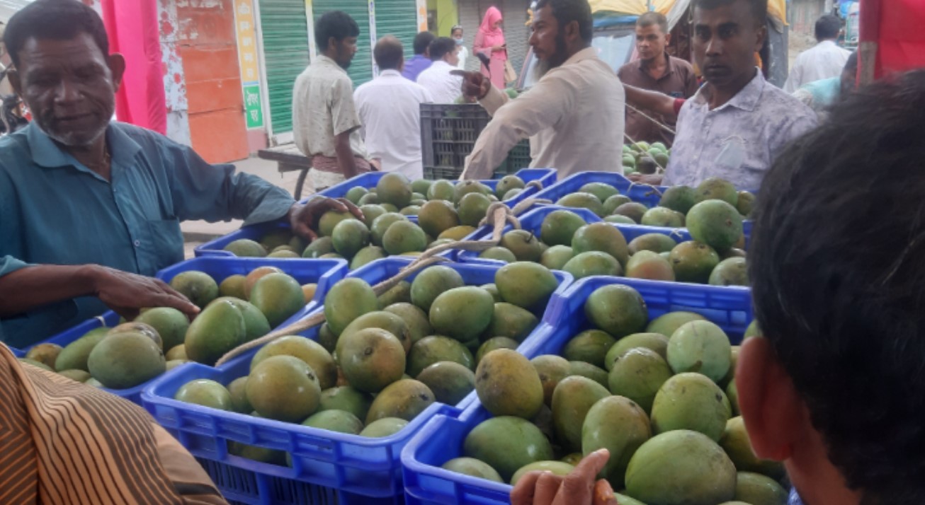আমের বাজার জমজমাট, কিন্তু দাম কম