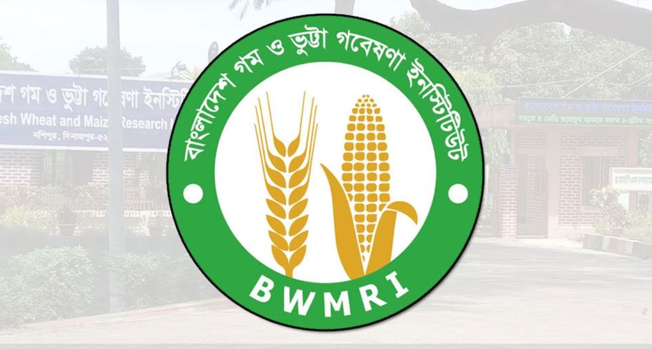 গম ও ভুট্টা গবেষণা ইনস্টিটিউটে ৫৯ পদে নিয়োগ 