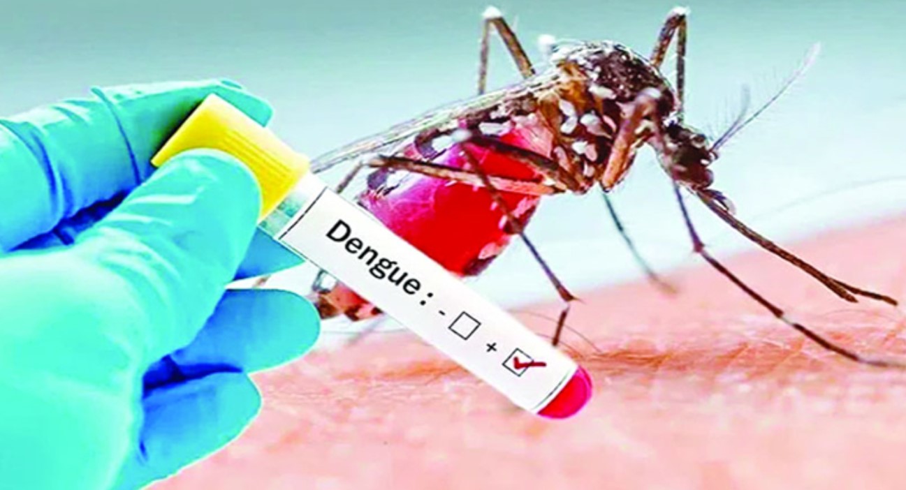 ডেঙ্গুতে হাসপাতালে ভর্তি ৩৯৪, একজনের মৃত্যু