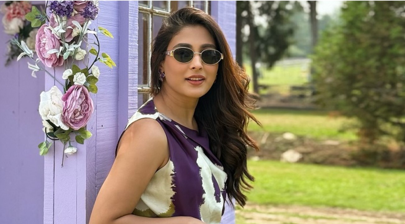 মেহজাবীন চৌধুরী কি কানাডায় স্থায়ী হচ্ছেন?