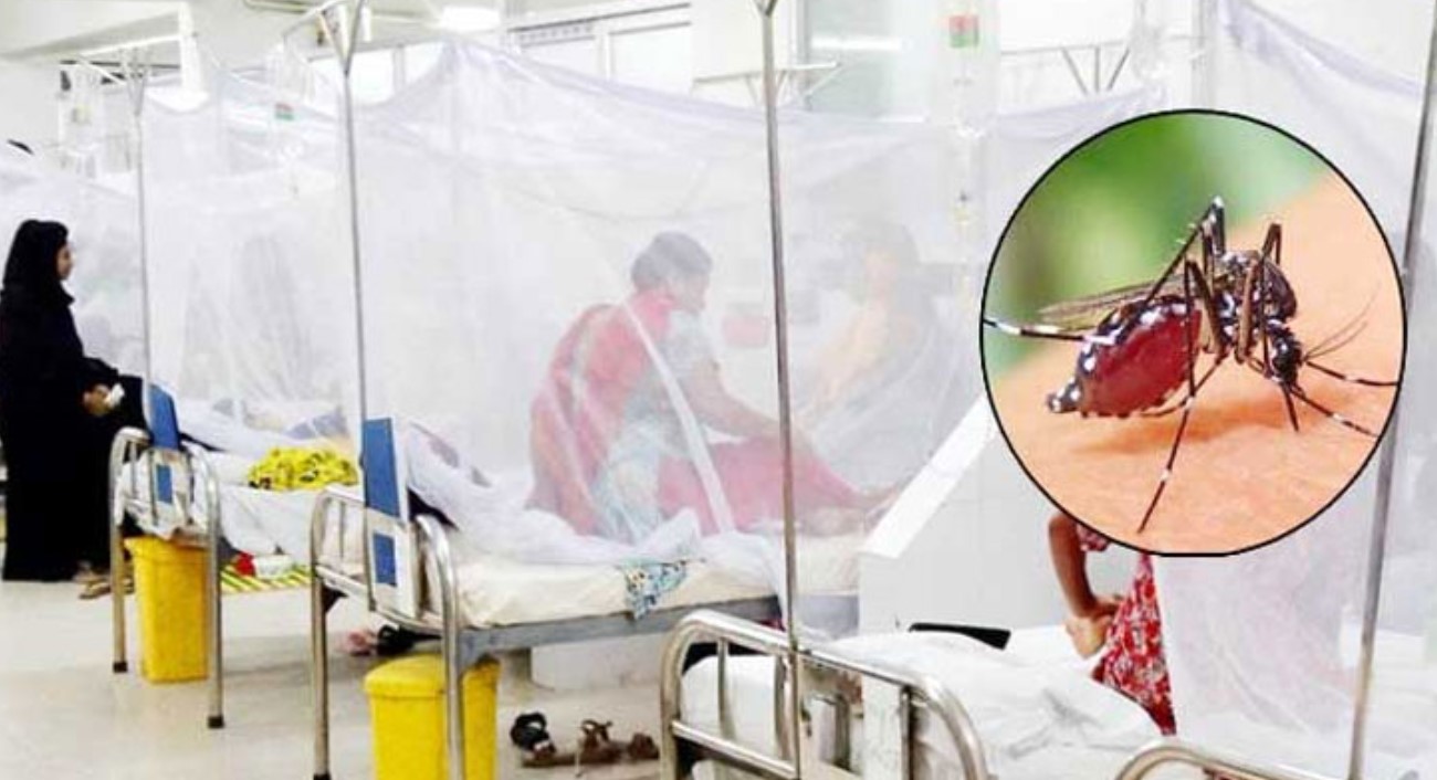গত ২৪ ঘন্টায় ডেঙ্গুতে ৩ জনের মৃত্যু, হাসপাতালে ভর্তি ৪৪৪ জন
