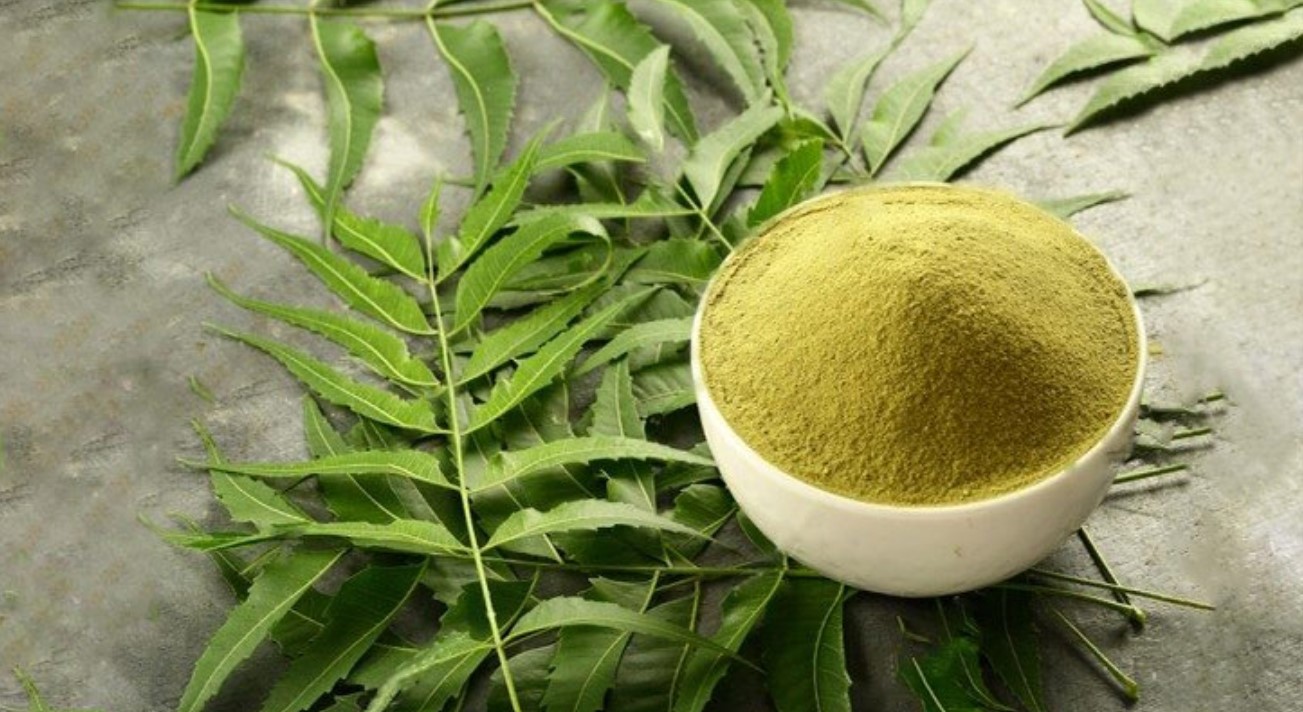 নিমে যে ২৩ টি রোগের নিরাময় হয়