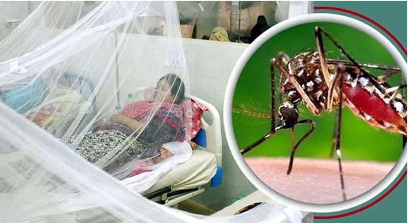 গত ২৪ ঘণ্টায় ডেঙ্গুতে ২ জনের মৃত্যু, হাসপাতালে ভর্তি ২৭৮