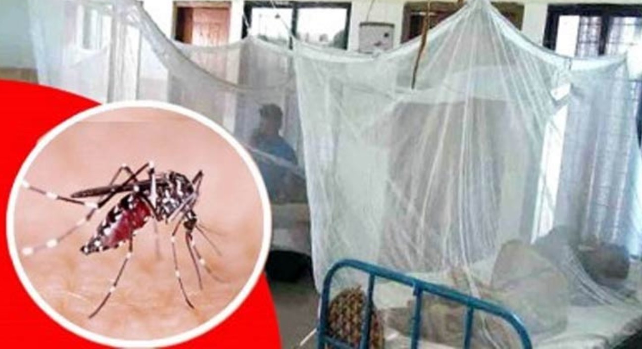 সারাদেশে ডেঙ্গুতে একজনের মৃত্যু, হাসপাতালে ভর্তি ২০৯