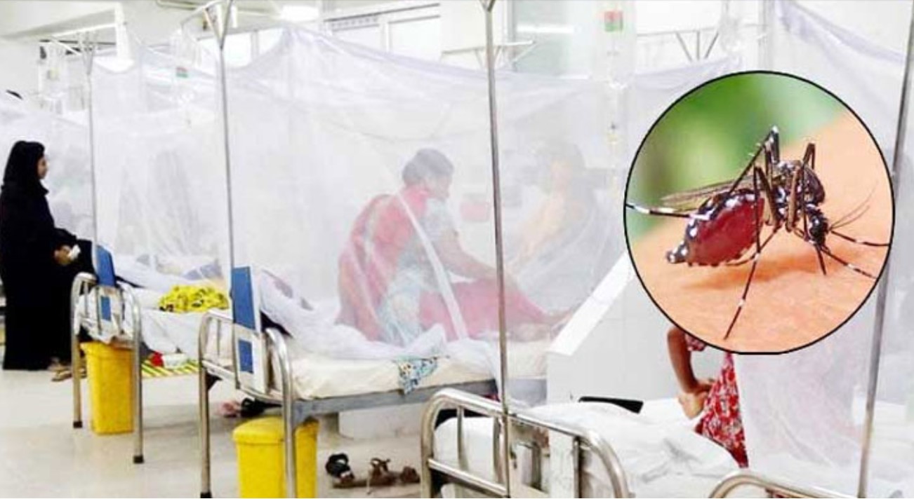 সারাদেশে ডেঙ্গুতে ৩ জনের মৃত্যু, হাসপাতালে ভর্তি ৩১৯ জন
