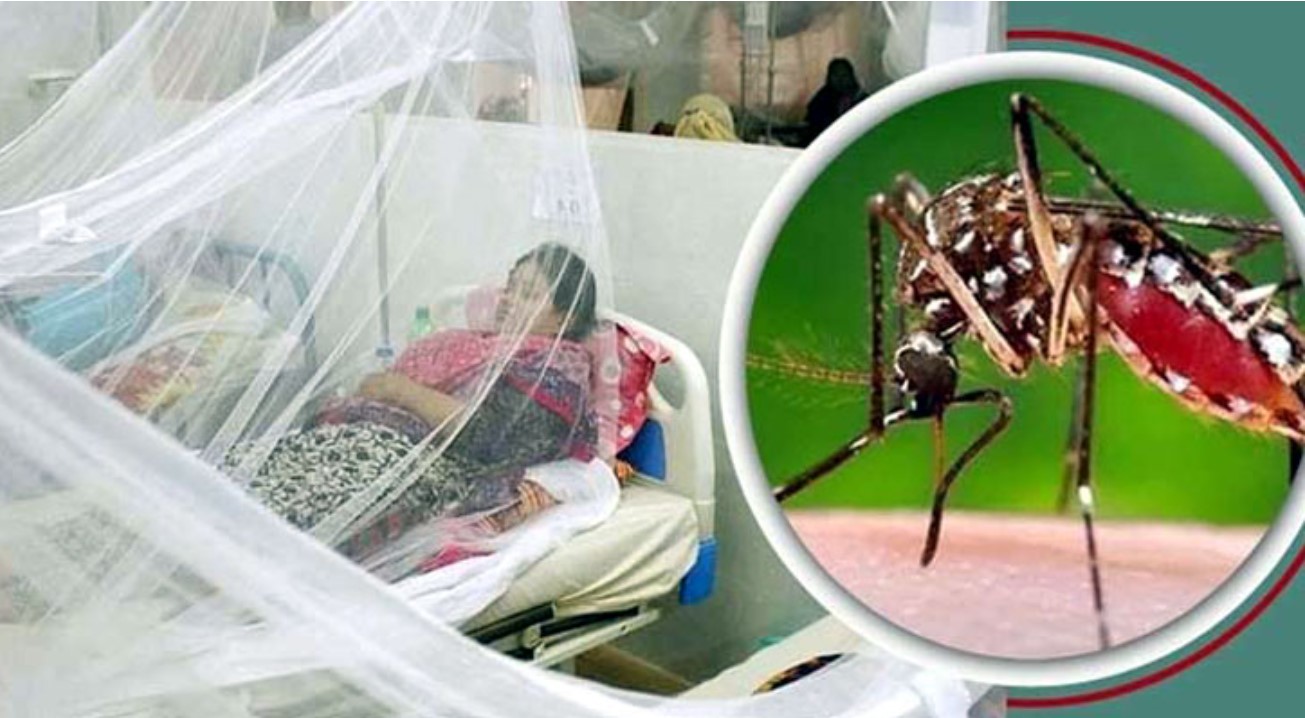 সারাদেশে ডেঙ্গুতে একজনের মৃত্যু, হাসপাতালে ভর্তি ৪৩৪