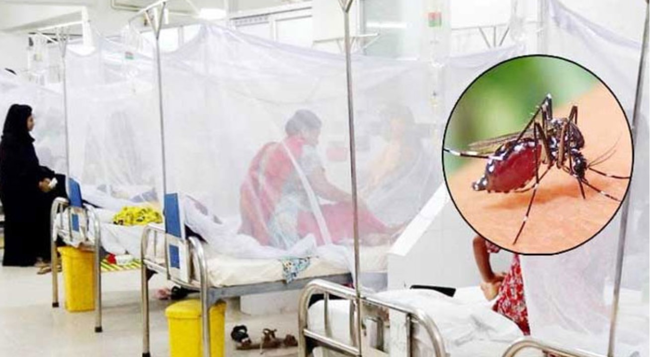 গত ২৪ ঘণ্টায় ডেঙ্গুতে ১ জনের মৃত্যু, হাসপাতালে ভর্তি ৩৮২