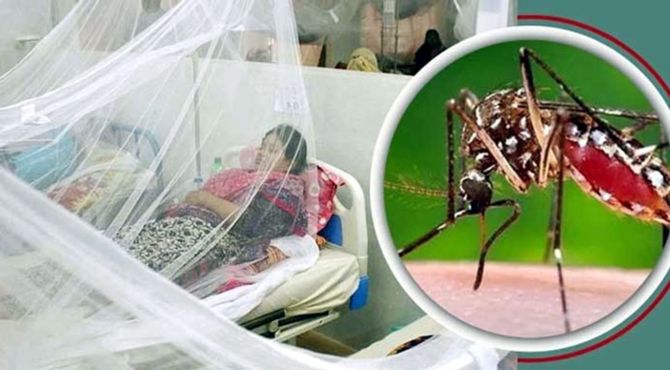 সারাদেশে ডেঙ্গুতে ৪ জনের মৃত্যু, হাসপাতালে ভর্তি ২৪৭