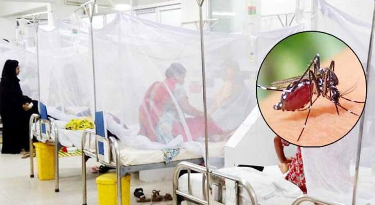 ৪৩২ জন ডেঙ্গুরোগী হাসপাতালে ভর্তি, ৩০ হাজার ছাড়ালো