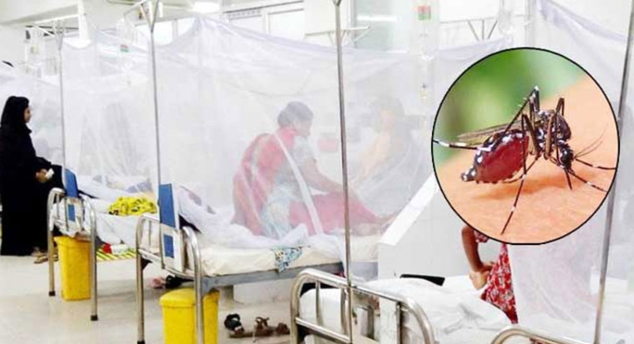 দেশে ডেঙ্গু আক্রান্ত ৩২ হাজার ছাড়ালো