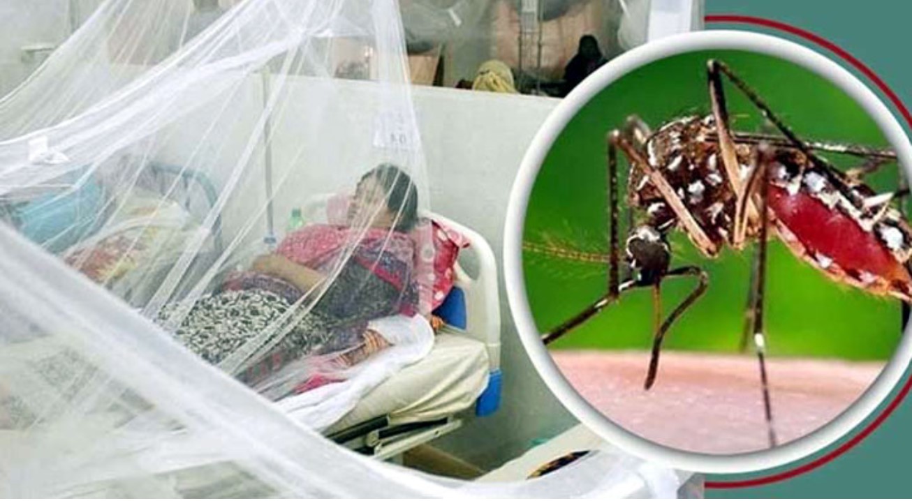 দেশে ডেঙ্গুতে ৩ জনের মৃত্যু, হাসপাতালে ভর্তি ৩৬৩ 