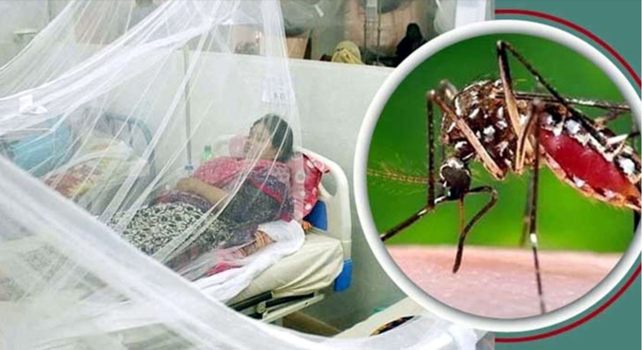 দেশে ডেঙ্গুতে ৩ জনের মৃত্যু, হাসপাতালে ভর্তি ৫৮০ জন
