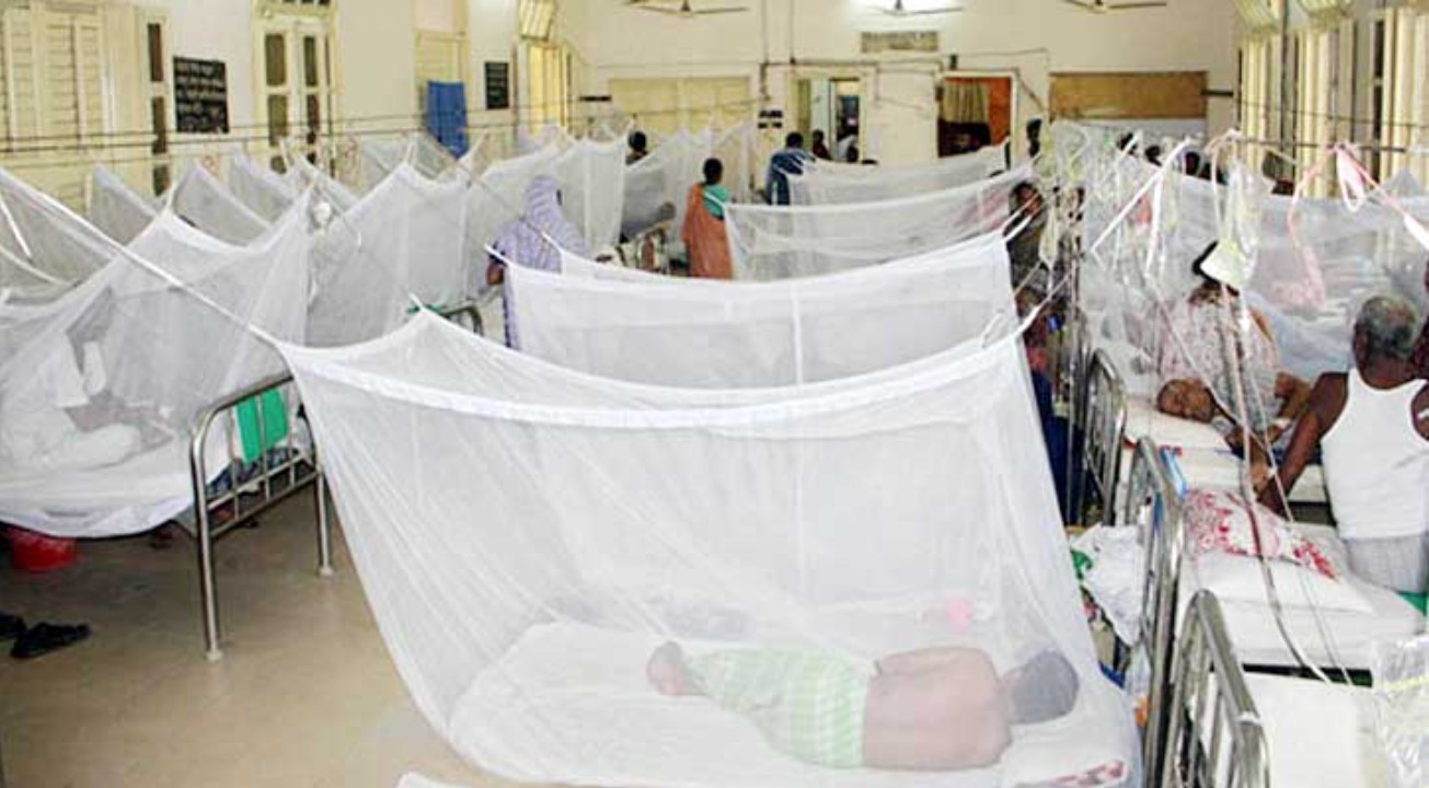হাসপাতালে ডেঙ্গুরোগী ভর্তি ৪০ হাজার ছাড়ালো    