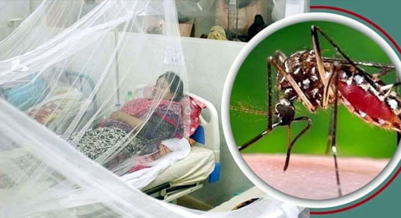 দেশে ডেঙ্গুতে ৪ জনের মৃত্যু, হাসপাতালে ভর্তি ৮৪৫  