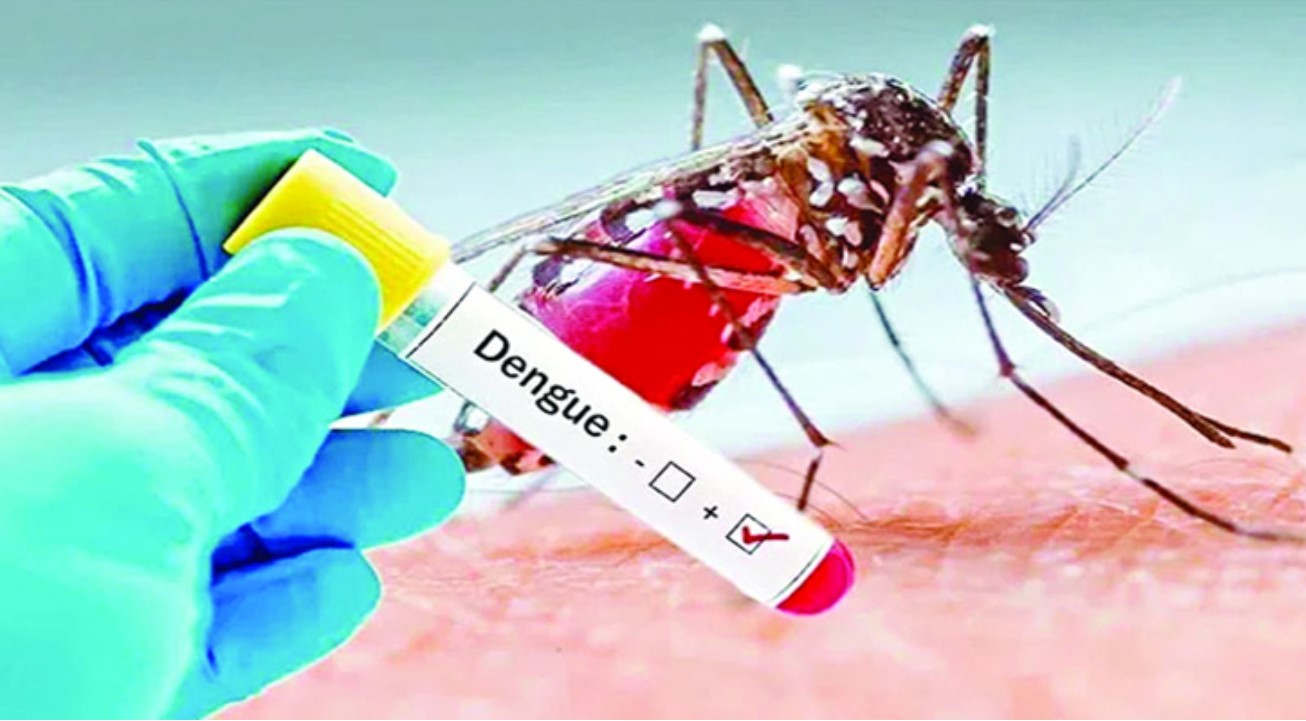 সারাদেশে ডেঙ্গুতে ৯ জনের মৃত্যু, হাসপাতালে ভর্তি ১০৪২ জন