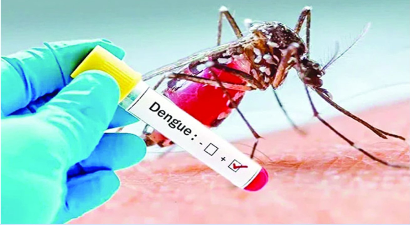 ডেঙ্গুতে ২ জনের মৃত্যু, হাসপাতালে ভর্তি ৭১৫ জন
