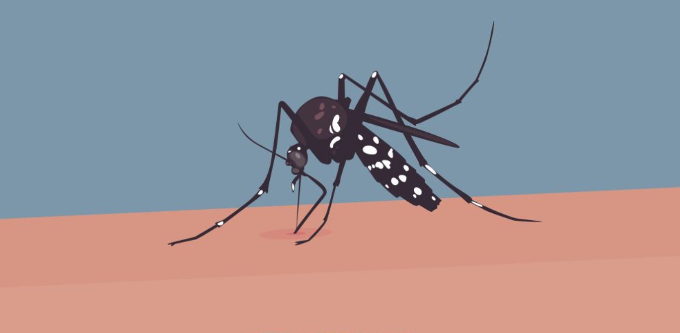 দেশে ডেঙ্গুতে একদিনে ১০ জনের মৃত্যু, হাসপাতালে ভর্তি ১,০৬৯ জন