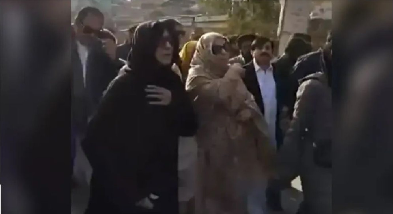 ইমরান খানের সঙ্গে দেখা করে তার বোন যা বললেন