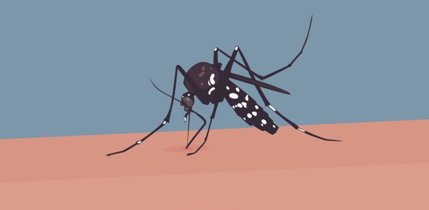 সারাদেশে ডেঙ্গুতে ৫ জনের মৃত্যু, হাসপাতালে ভর্তি ৪৯০ জন