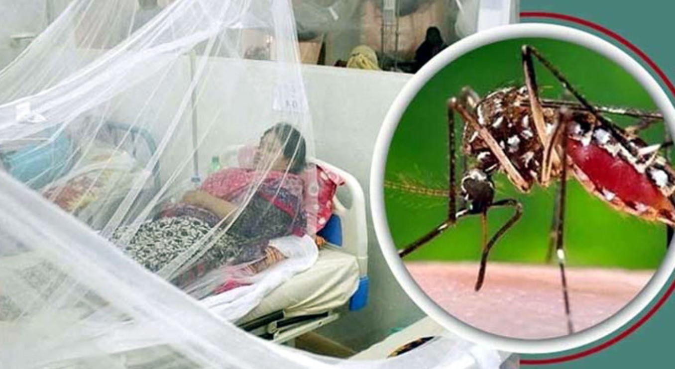 আজ ডেঙ্গুতে কোনো মৃত্যু নেই, হাসপাতালে ভর্তি ৩৭৭ জন