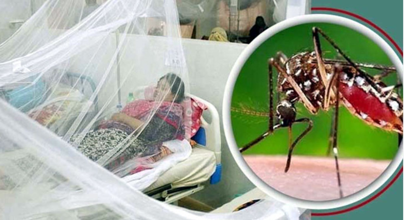 আজ ডেঙ্গুতে কোনো মৃত্যু নেই, আক্রান্ত হাসপাতালে ভর্তি ১২৬