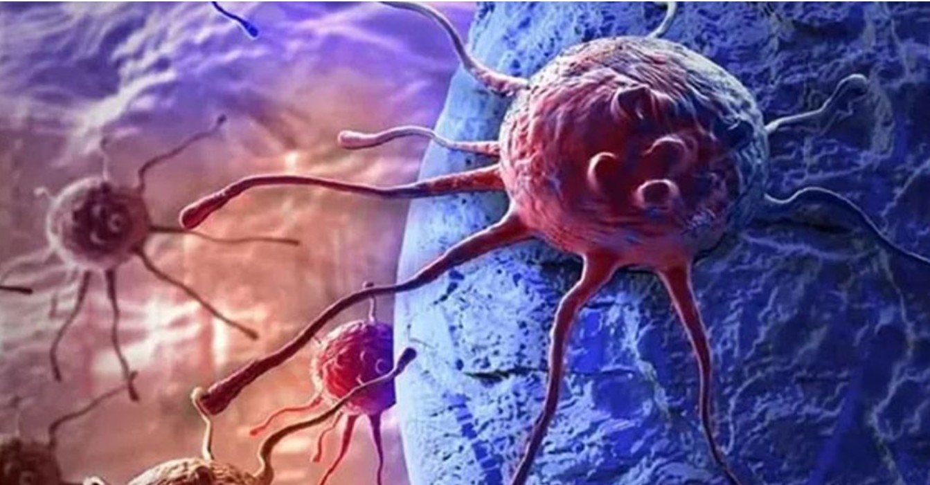 ক্যানসার প্রতিরোধে সহায়ক হতে পারে যেসব সবজি