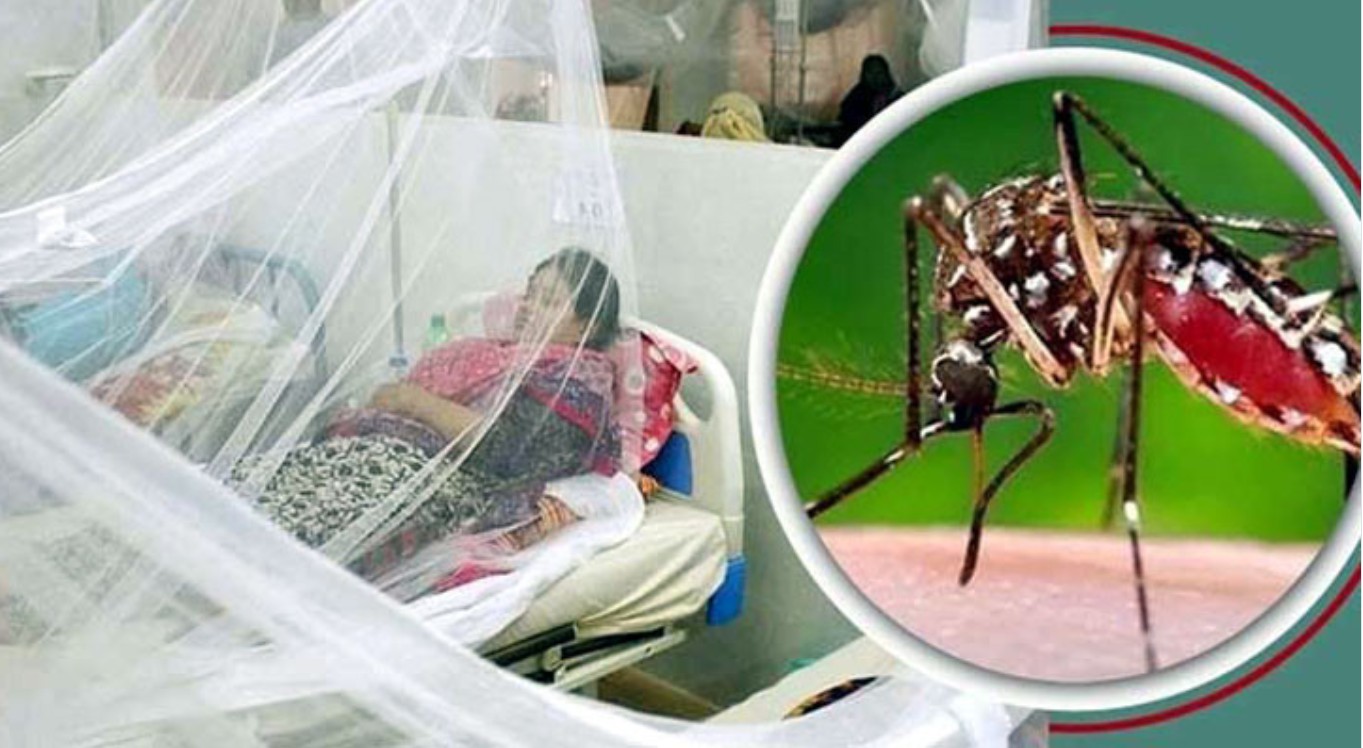 আজ ডেঙ্গুতে কোনো মৃত্যু নেই, আক্রান্ত হাসপাতালে ভর্তি ৩৬ জন