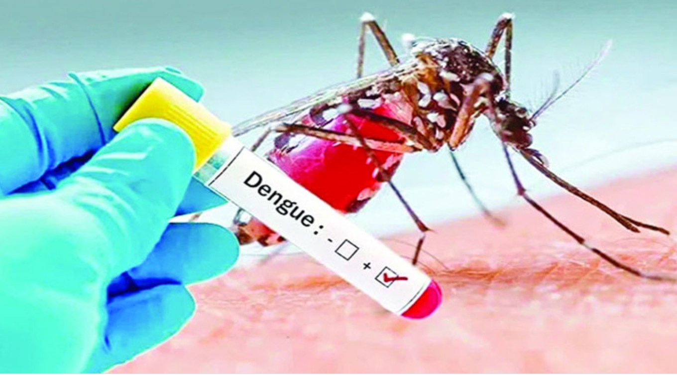 ডেঙ্গু আক্রান্ত হয়ে হাসপাতালে ভর্তি ৩৫ জন