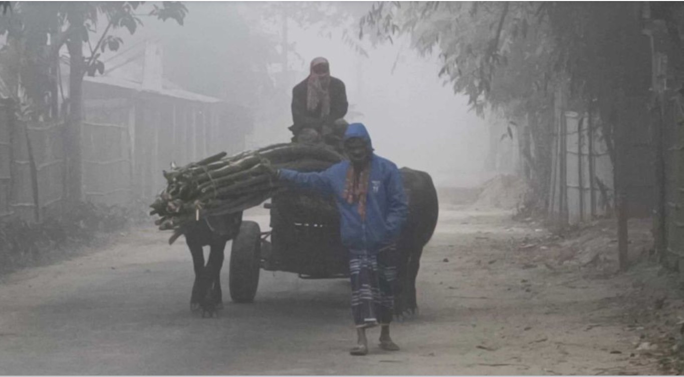 কুড়িগ্রামে তাপমাত্রা ১১ ডিগ্রি, শীতার্ত মানুষ কষ্টে আছে