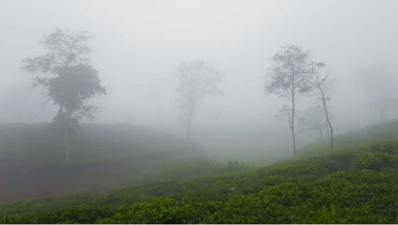 শ্রীমঙ্গলে টানা ৪ দিন ধরে দেশের সর্বনিম্ন তাপমাত্রা ১০