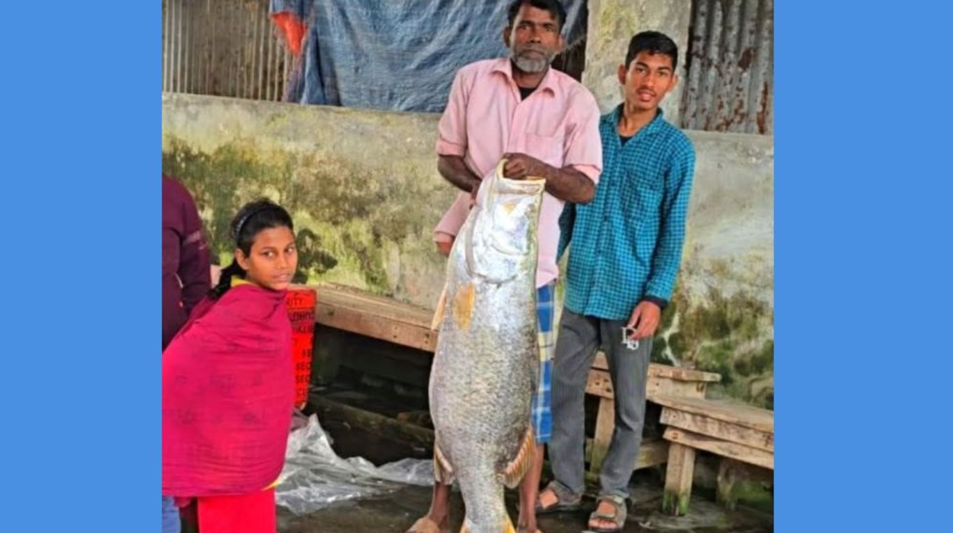বরগুনার তালতলীতেজেলের জালে আটকা পড়ে সাড়ে ২২ কেজির কোরাল