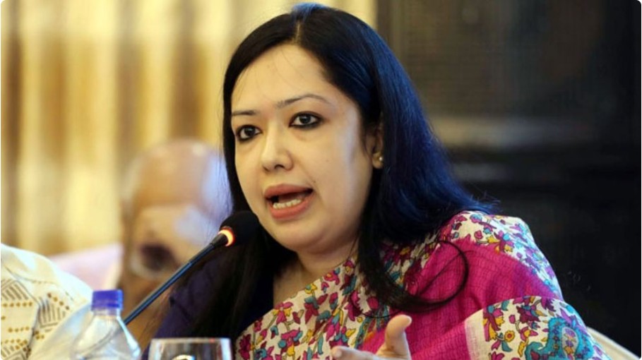 পদধারী বড় নেতাদের চেয়ে বেশি জনপ্রিয়তায়ই কাল হয়েছে আমার: রুমিন ফারহানা