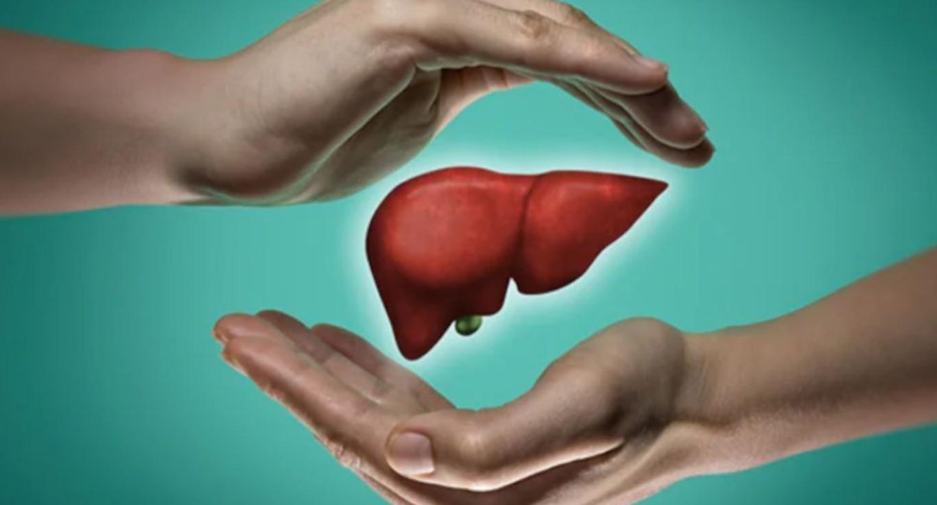 ফ্যাটি লিভার সমস্যার সমাধান হবে ওষুধ ছাড়াই 