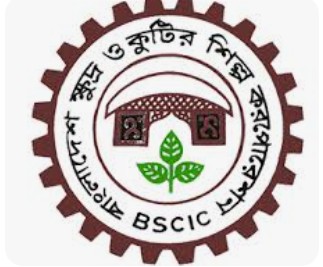 বিসিকে স্থায়ী ১২ পদের নিয়োগ বিজ্ঞপ্তি