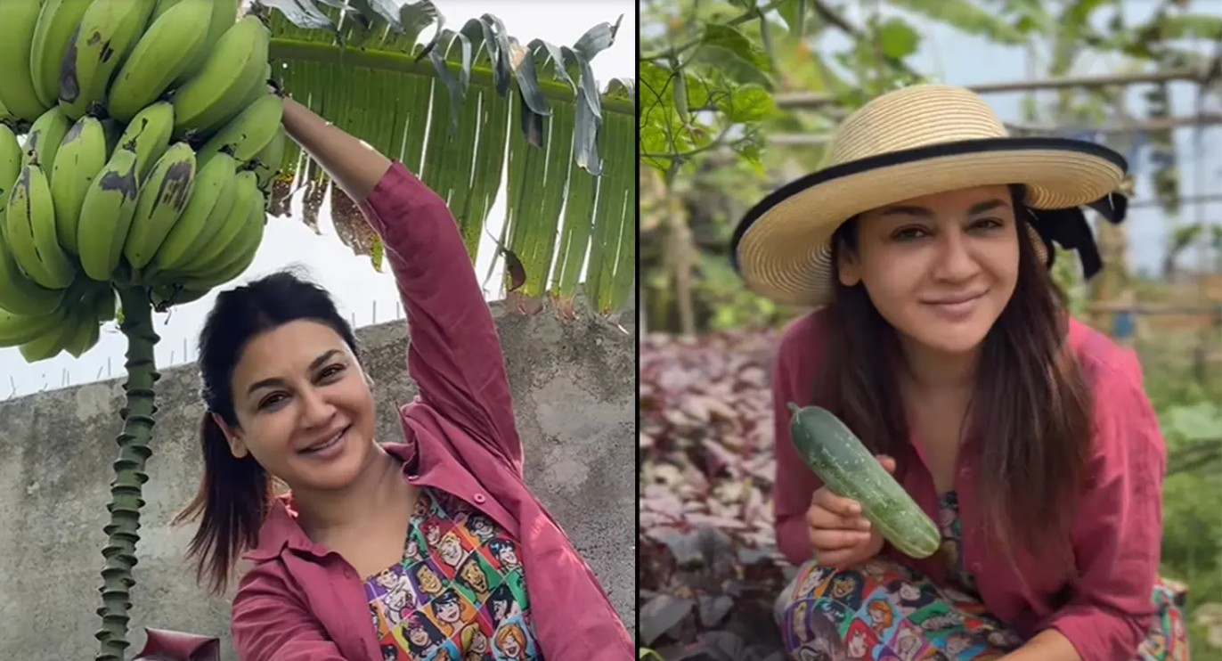 সবজি চাষে উচ্ছ্বাস প্রকাশ জনপ্রিয় অভিনেত্রী জয়া আহসানের 