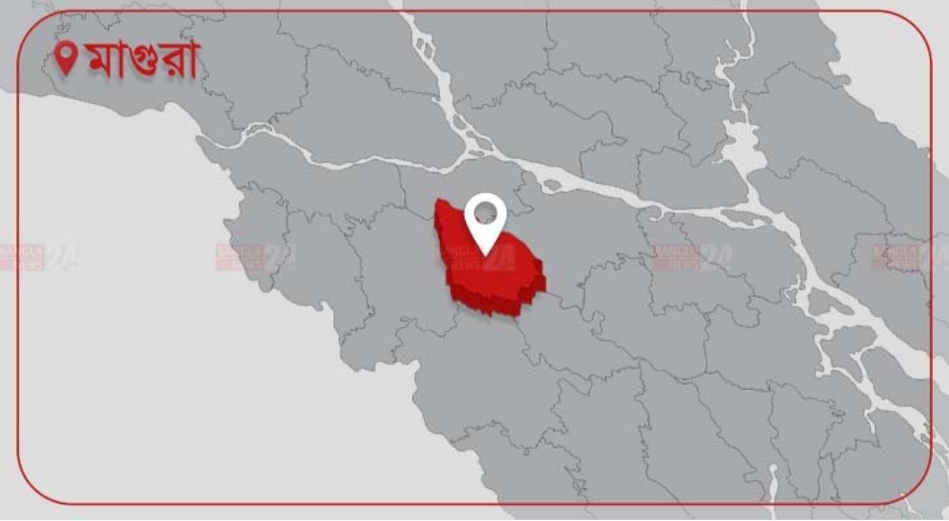 মাগুরায় বাসের ধাক্কায় ভ্যানচালক নিহত