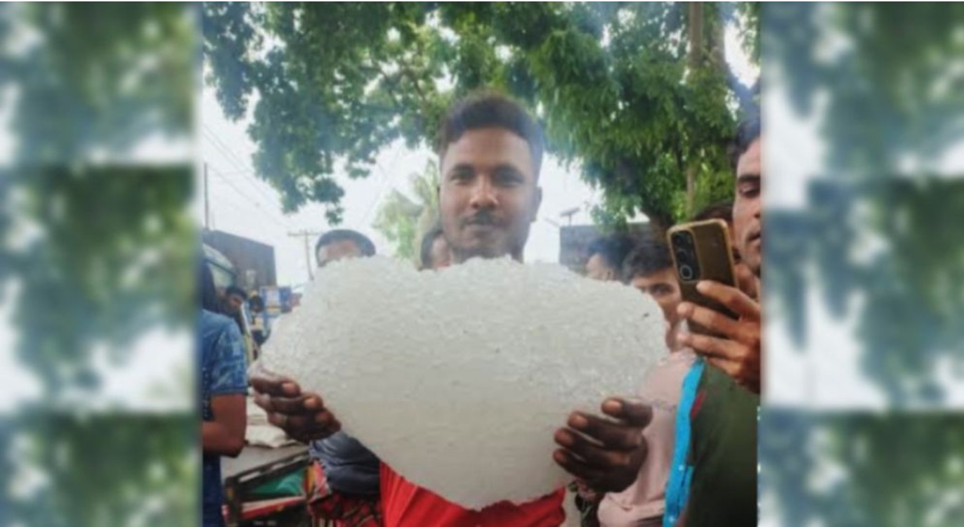 ঝিনাইদহের কালীগঞ্জে বৃষ্টির সঙ্গে পড়লো ১ মণ ওজনের শিলাখণ্ড