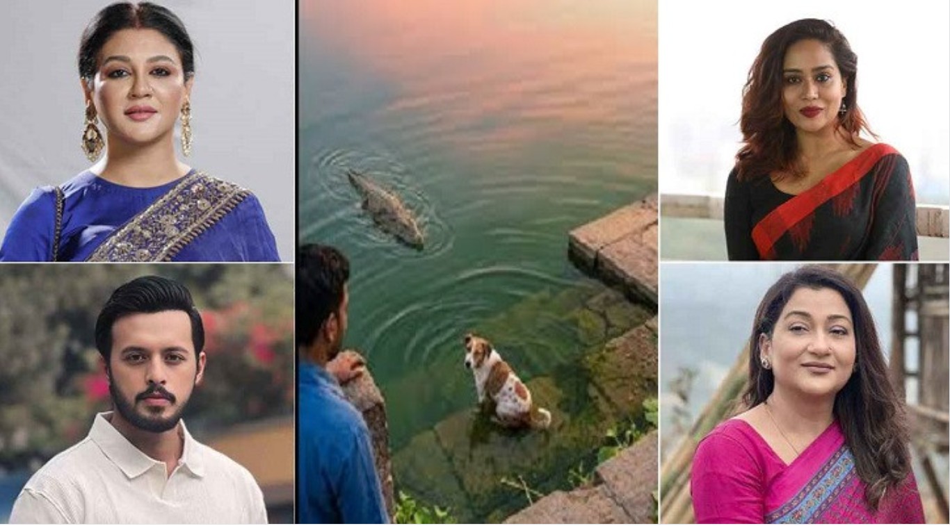 মাজারে কুমিরের পানিতে জীবন্ত কুকুরকে ফেলায় তারকাদের ক্ষোভ