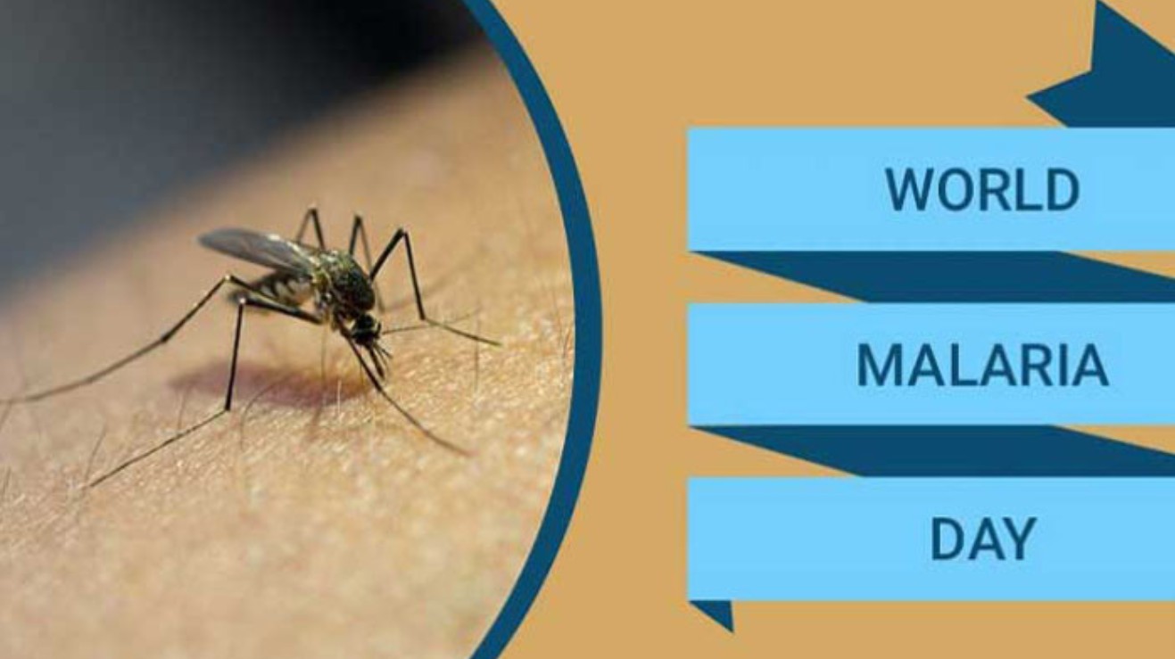 আজ বিশ্ব ম্যালেরিয়া দিবস, উচ্চ ঝুঁকিতে দেশের ১৩ জেলা